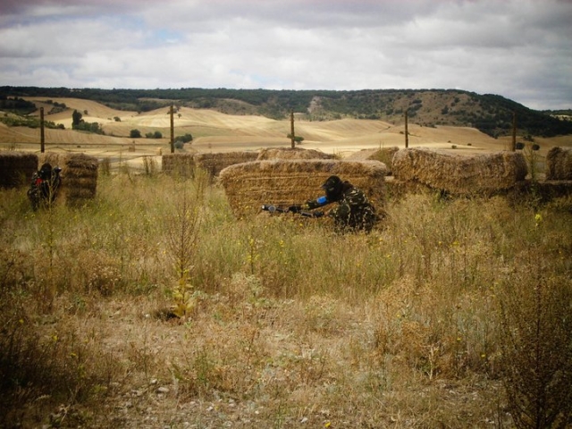 palencia 5.jpg